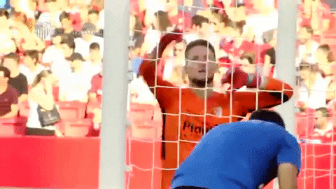 Sevilla Fc Reaching Goal Stand GIF