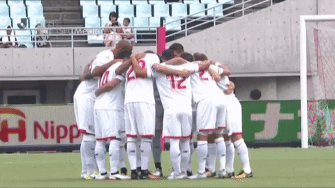 Sevilla Fc Team Iceland GIF