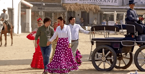 Seville Spain Cultural Dance GIF
