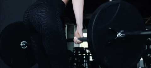 Sexy Workout Lifting Weights GIF