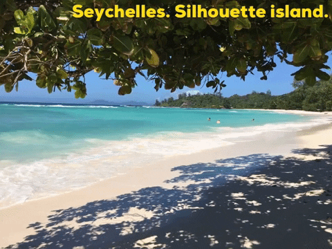 Seychelles Silhouette Island Beach Shore GIF