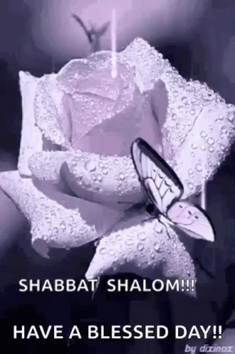 Shabbat Shalom Rose Butterfly Blessed Day GIF