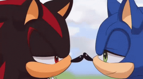 Sonic Ans Shadow Kissing GIF