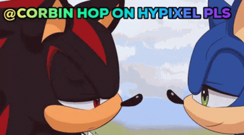 Shadow And Sonic Looking At Each Other GIF