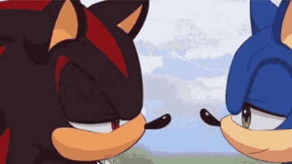 Shadow and Sonic Touch Noses