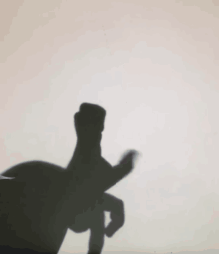 Shadow Hand Making Peace Sign