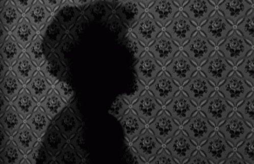 Shadow of Person on Floral Wallpaper