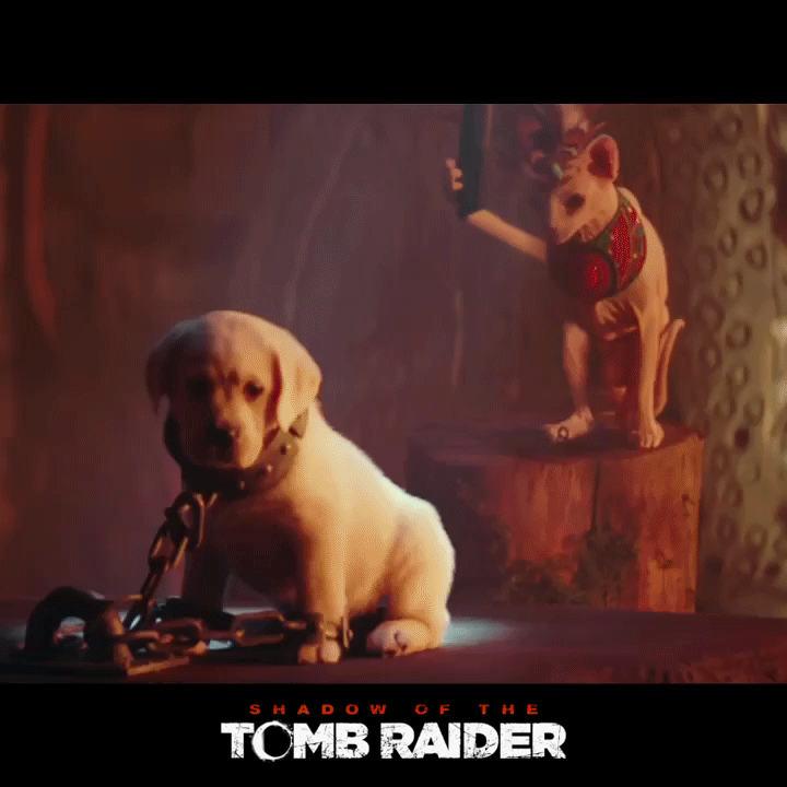 Shadow Of The Tomb Raider Cat Puppy GIF