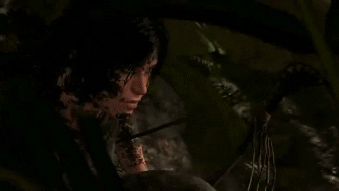 Shadow Of The Tomb Raider Stealth GIF