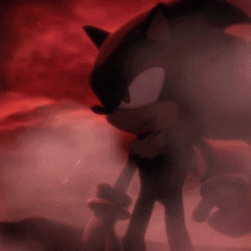Shadow The Hedgehog After Fight GIF