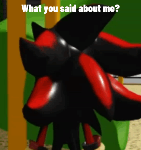 Shadow the Hedgehog Against Green Wall Asking What You Said About Me