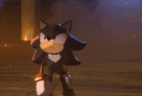 Shadow the Hedgehog and Blaze the Rabbit Standing in Dark Room