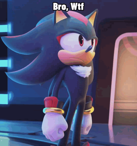 Shadow The Hedgehog Bro WTF GIF