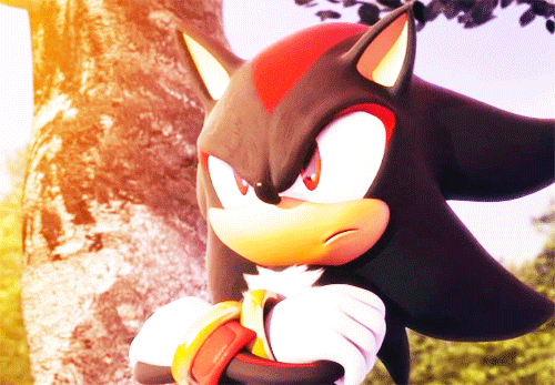 Shadow The Hedgehog Closing Eyes GIF