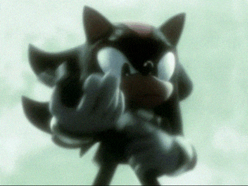Shadow the Hedgehog Giving Middle Finger Blurry