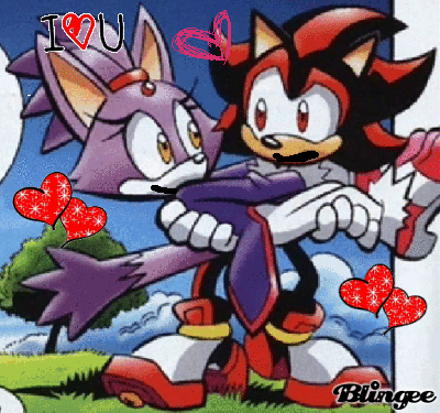 Shadow The Hedgehog Holding Blaze The Cat GIF