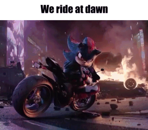 shadow the hedgehog is riding a motorcycle in a city .