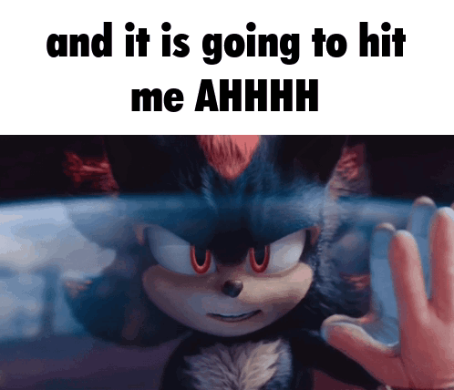 Shadow The Hedgehog It's Going To Hit Me GIF