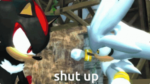 Shadow The Hedgehog Kick GIF