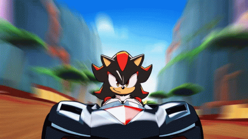 Shadow The Hedgehog Racing Unamused GIF