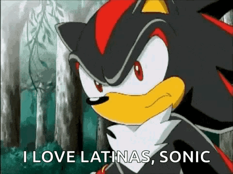 Shadow the Hedgehog Saying I Love Latinas Sonic