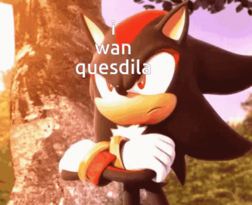 Shadow The Hedgehog Want Quesadilla GIF