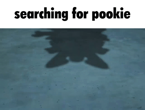Shadow with Searching for Pookie