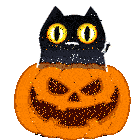 Shadowkitty Kitty Sticker GIF