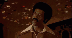 Shaft Black Dynamite I Can Dig It GIF