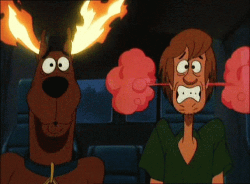 Shaggy And Scooby Doo On Fire GIF