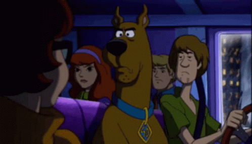 Shaggy Road Trip With Scooby Doo GIF