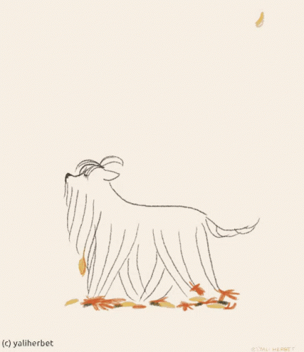 Shaggy Walks On Falling Leaves GIF