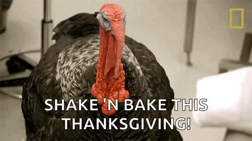 Shake And Bake This Thanksgiving Turkey GIF