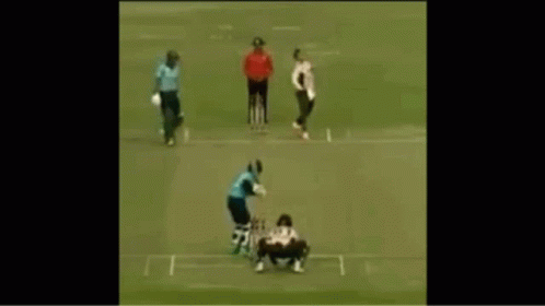 Shakib Al Hasan Angry Stumps Kick GIF