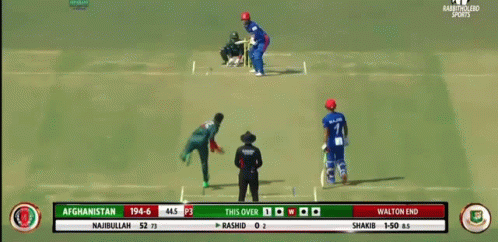 Shakib Al Hasan Vs Rashid Khan GIF