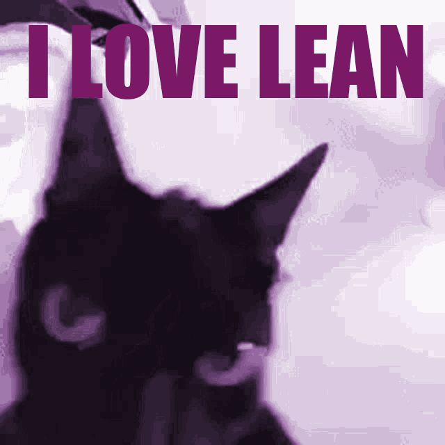 Shaking Cat Loves Lean GIF