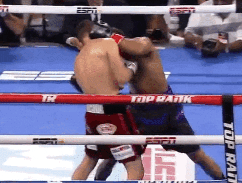 Shakur Stevenson Bringing Alberto Guevara Down GIF