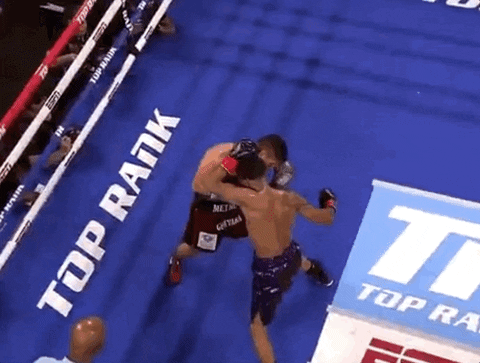 Shakur Stevenson Fight With Alberto Guevara Aerial View GIF