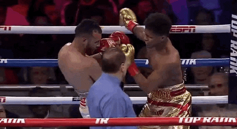 Shakur Stevenson Landing Punches On Christopher Diaz Face GIF
