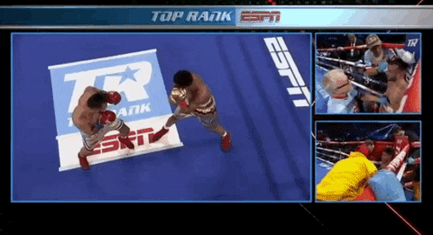 Shakur Stevenson Match With Christopher Diaz Aerial Shot GIF