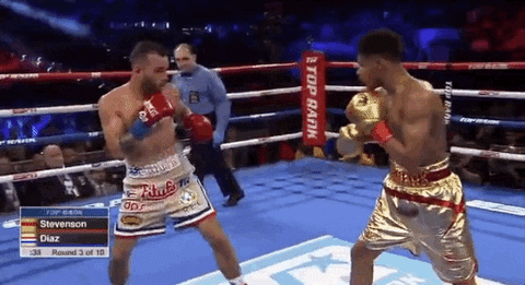 Shakur Stevenson Multiple Punches To Christopher Diaz GIF