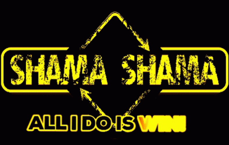 Shama All I Do Is Win GIF