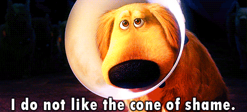 Shame Cone Of Dug GIF