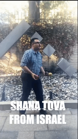 Shana Tova Israel Juggle Meme GIF