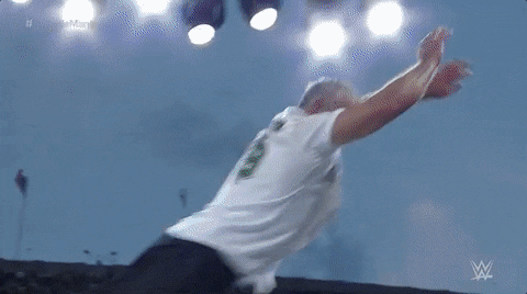 Shane Mcmahon Bad Fall GIF
