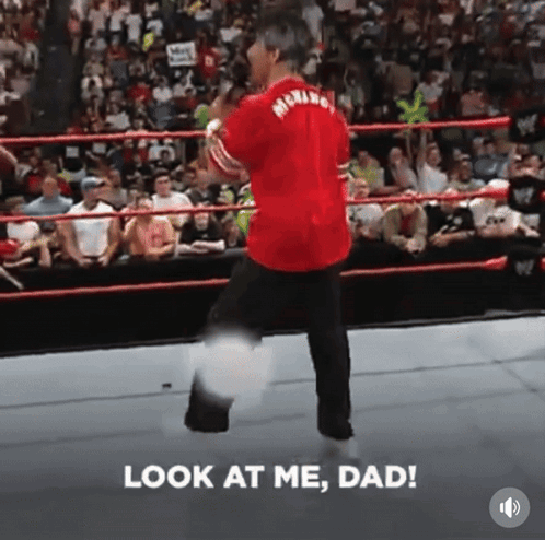 Shane Mcmahon Being Jolly GIF