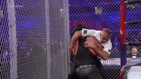 Shane Mcmahon Dumped To Fence GIF