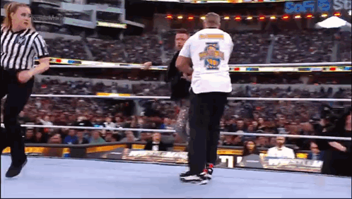 Shane Mcmahon Funny Moments GIF