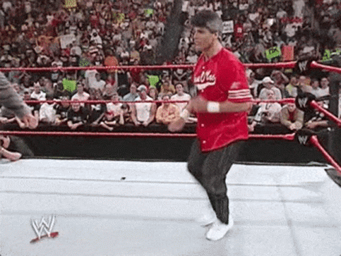 Shane Mcmahon Got Knocked Down GIF