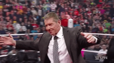 Shane Mcmahon Tries To Stop Vince GIF